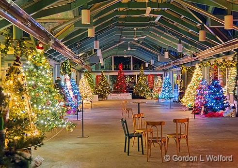 GORDON WOLFORD PHOTOGRAPHY Ontario Eastern Ontario Nightshots of